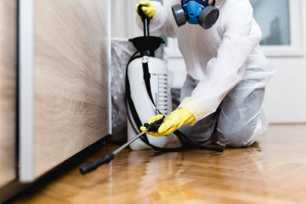 Best Pest Prevention Services  in Greenville, NY