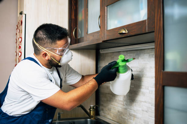 Pest Control for Restaurants in Greenville, NY