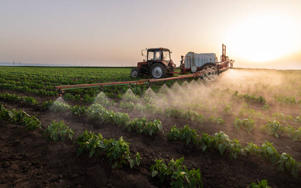 Best Commercial Pest Control Services  in Greenville, NY
