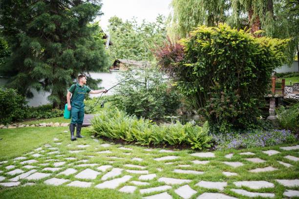 Best Insect Control  in Greenville, NY