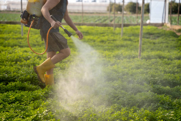 Best Affordable Pest Control Services  in Greenville, NY