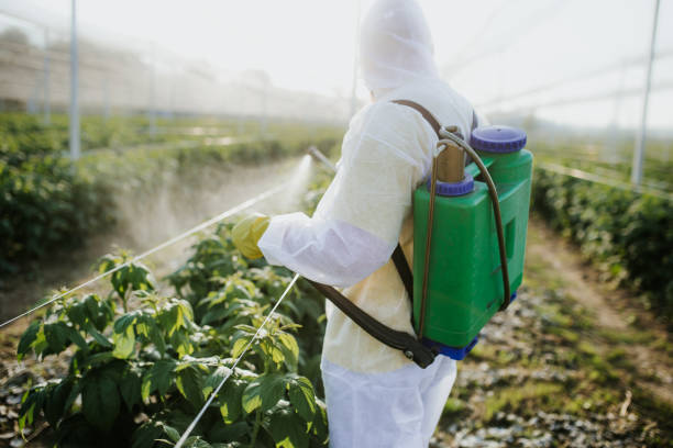 Reliable Greenville, NY Pest Control Solutions